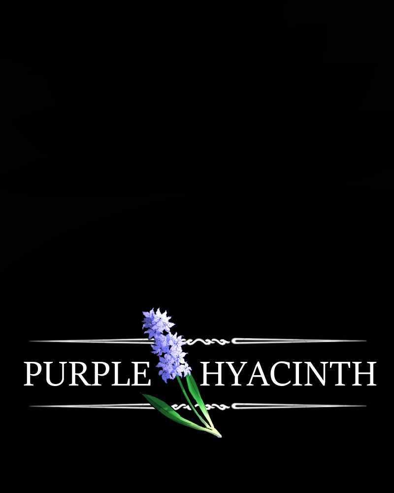 Purple Hyacinth Chapter 160 2